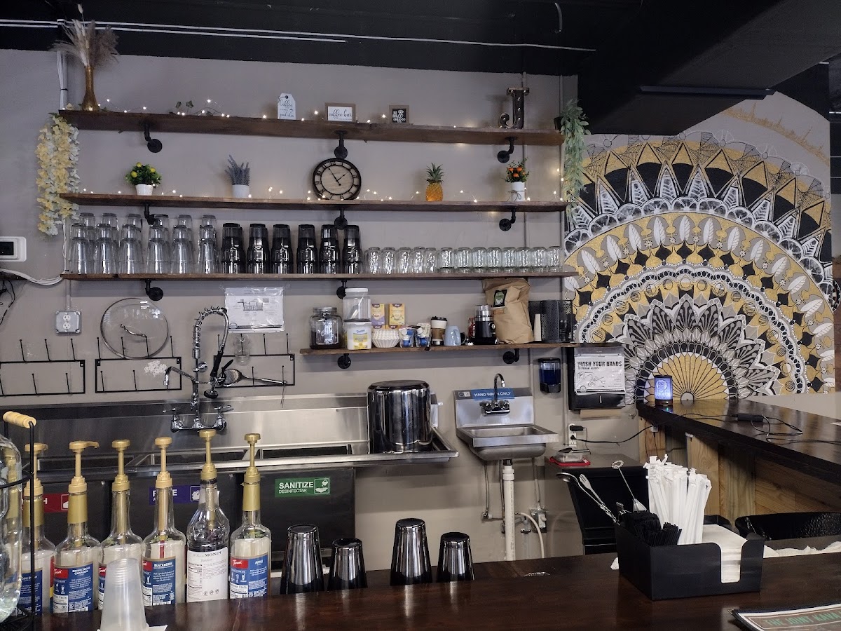 Chameleon Kava Lounge Photos 2